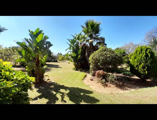 FARM FOR SALE IN GLEN AUSTIN